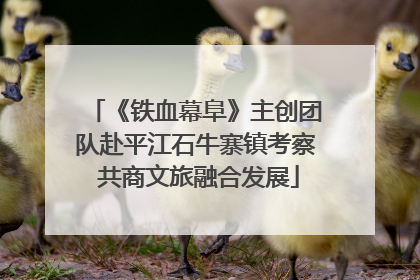 《铁血幕阜》主创团队赴平江石牛寨镇考察 共商文旅融合发展