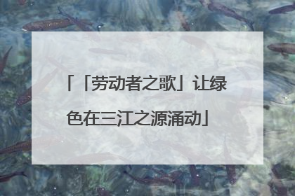 「劳动者之歌」让绿色在三江之源涌动