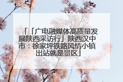 「广电融媒体高质量发展陕西采访行」陕西汉中市：徐家坪铁路风情小镇 出站就是景区