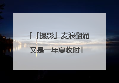 「摄影」麦浪翻涌 又是一年夏收时