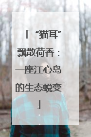 “猫耳”飘散荷香：一座江心岛的生态蜕变