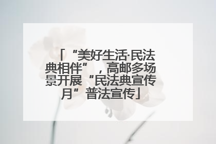 “美好生活·民法典相伴”，高邮多场景开展“民法典宣传月”普法宣传