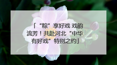 “粽”享好戏 戏韵流芳！共赴河北“中华有好戏”特别之约