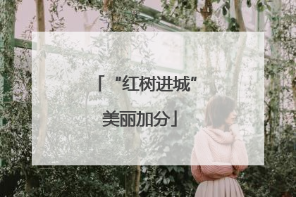 “红树进城” 美丽加分