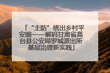 “主防”绣出乡村平安图——解码甘肃省高台县公安局罗城派出所基层治理新实践