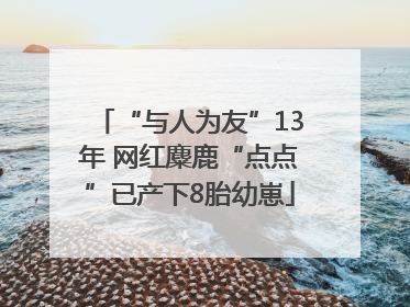 “与人为友”13年 网红麋鹿“点点”已产下8胎幼崽