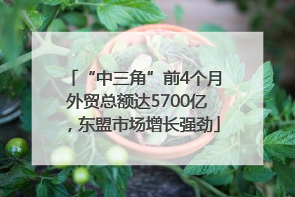 “中三角”前4个月外贸总额达5700亿，东盟市场增长强劲