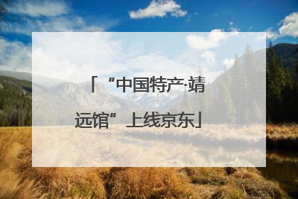 “中国特产·靖远馆”上线京东