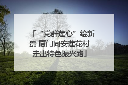 “党群莲心”绘新景 厦门同安莲花村走出特色振兴路
