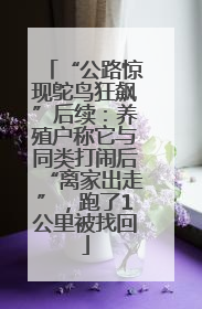 “公路惊现鸵鸟狂飙”后续：养殖户称它与同类打闹后“离家出走”，跑了1公里被找回