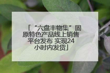“六盘丰物集”固原特色产品线上销售平台发布 实现24小时内发货