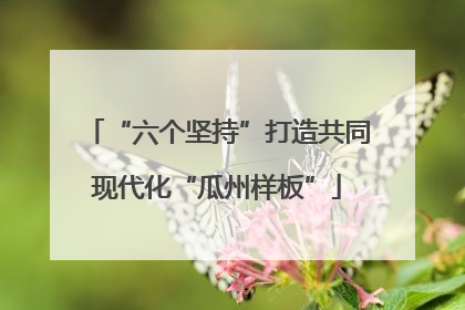 “六个坚持”打造共同现代化“瓜州样板”