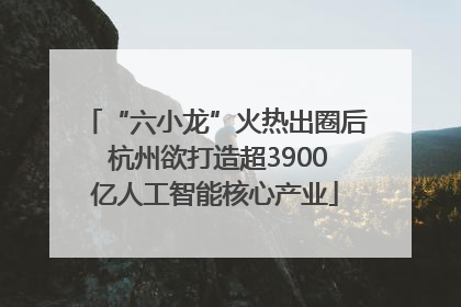 “六小龙”火热出圈后 杭州欲打造超3900亿人工智能核心产业