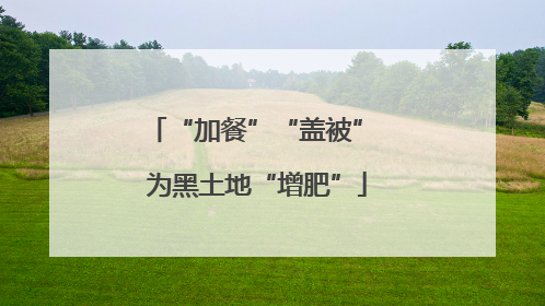 “加餐”“盖被” 为黑土地“增肥”