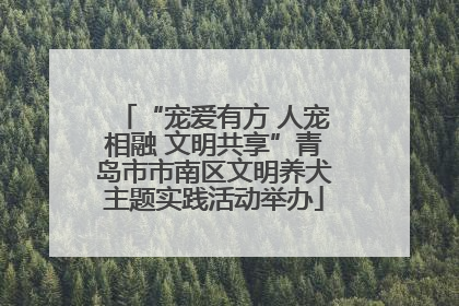 “宠爱有方 人宠相融 文明共享”青岛市市南区文明养犬主题实践活动举办