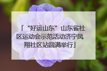 “好运山东”山东省社区运动会示范活动济宁凤翔社区站圆满举行