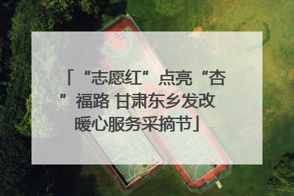 “志愿红”点亮“杏”福路 甘肃东乡发改暖心服务采摘节