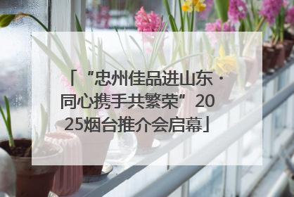 “忠州佳品进山东・同心携手共繁荣”2025烟台推介会启幕