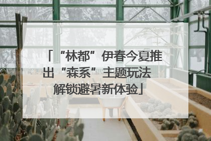 “林都”伊春今夏推出“森系”主题玩法 解锁避暑新体验
