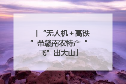 “无人机＋高铁”带赣南农特产“飞”出大山