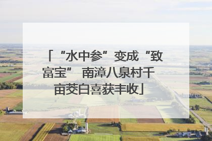 “水中参”变成“致富宝” 南漳八泉村千亩茭白喜获丰收