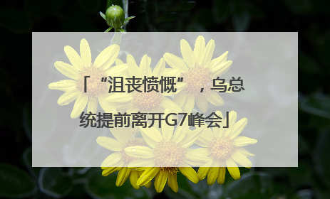“沮丧愤慨”，乌总统提前离开G7峰会