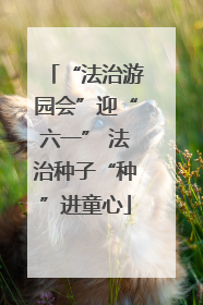 “法治游园会”迎“六一” 法治种子“种”进童心