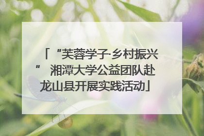“芙蓉学子·乡村振兴” 湘潭大学公益团队赴龙山县开展实践活动