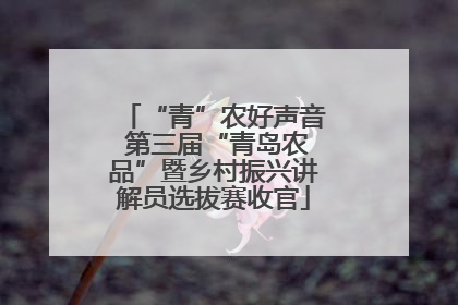 “青”农好声音 第三届“青岛农品”暨乡村振兴讲解员选拔赛收官