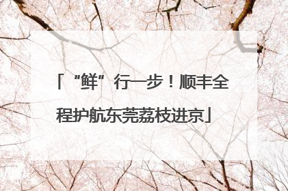 “鲜”行一步！顺丰全程护航东莞荔枝进京