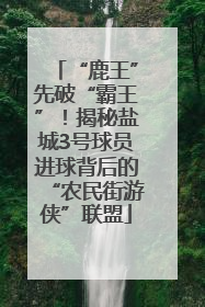 “鹿王”先破“霸王”！揭秘盐城3号球员进球背后的“农民街游侠”联盟