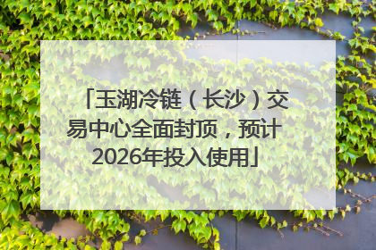 玉湖冷链（长沙）交易中心全面封顶，预计2026年投入使用