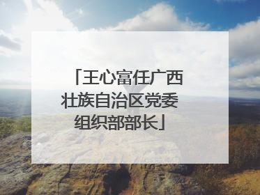 王心富任广西壮族自治区党委组织部部长