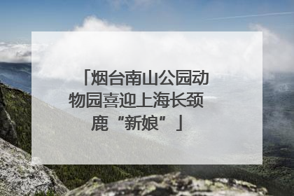 烟台南山公园动物园喜迎上海长颈鹿“新娘”