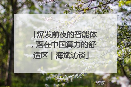 爆发前夜的智能体，落在中国算力的舒适区｜海斌访谈