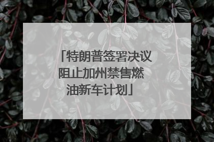 特朗普签署决议 阻止加州禁售燃油新车计划