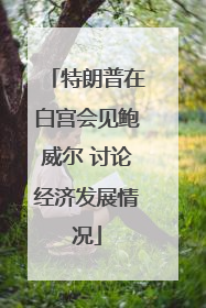 特朗普在白宫会见鲍威尔 讨论经济发展情况