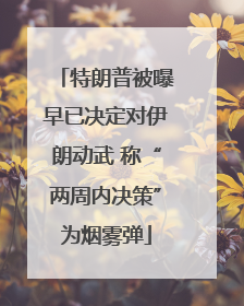 特朗普被曝早已决定对伊朗动武 称“两周内决策”为烟雾弹