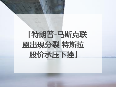 特朗普-马斯克联盟出现分裂 特斯拉股价承压下挫