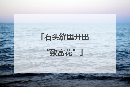 石头缝里开出“致富花”