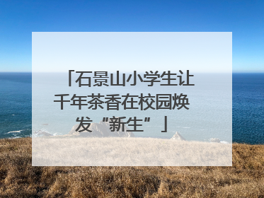 石景山小学生让千年茶香在校园焕发“新生”