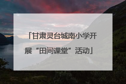 甘肃灵台城南小学开展“田间课堂”活动