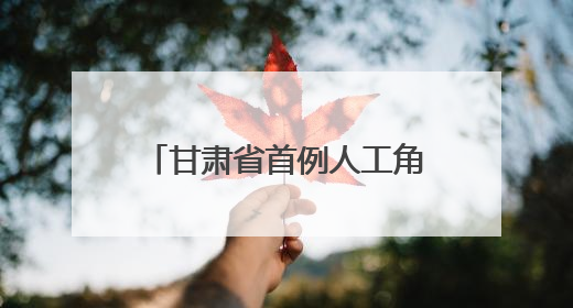 甘肃省首例人工角膜移植手术将在兰州开展5月30日，李绍伟教授赴兰亲自主刀，开启角膜盲患者复明新纪元