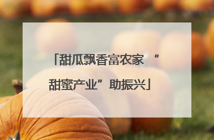 甜瓜飘香富农家 “甜蜜产业”助振兴