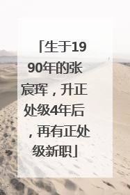 生于1990年的张宸珲，升正处级4年后，再有正处级新职