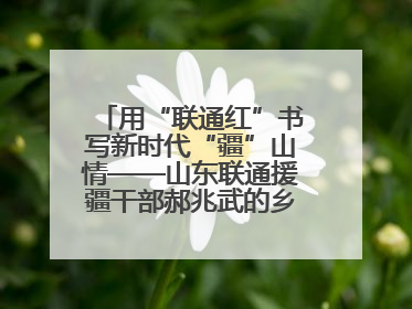 用“联通红”书写新时代“疆”山情——山东联通援疆干部郝兆武的乡村振兴答卷