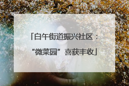 白午街道振兴社区：“微菜园”喜获丰收