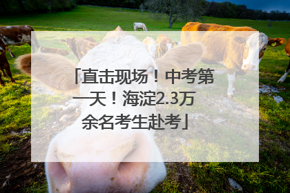 直击现场！中考第一天！海淀2.3万余名考生赴考