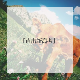 直击新高考