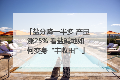 盐分降一半多 产量涨25% 看盐碱地如何变身“丰收田”